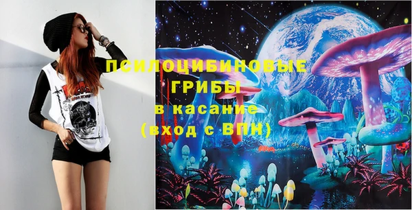 шишки Алексеевка