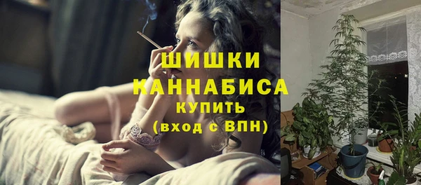 шишки Алексеевка