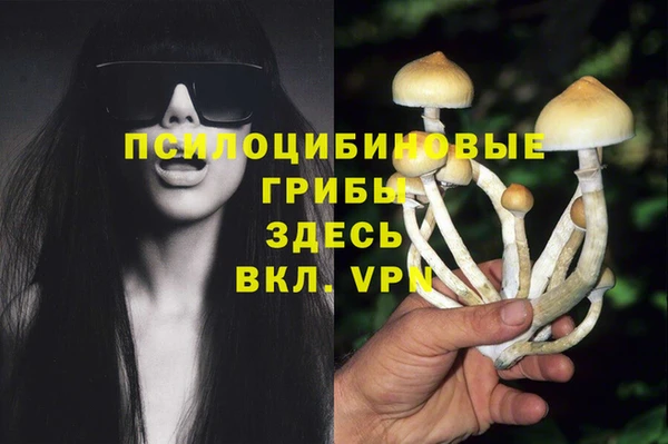 шишки Алексеевка
